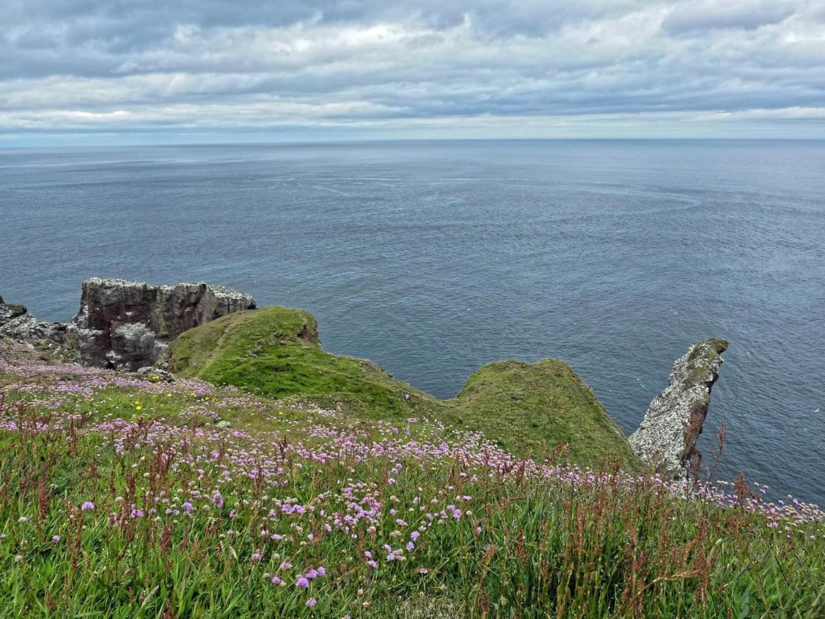 The Law House Διαμέρισμα Coldingham Εξωτερικό φωτογραφία